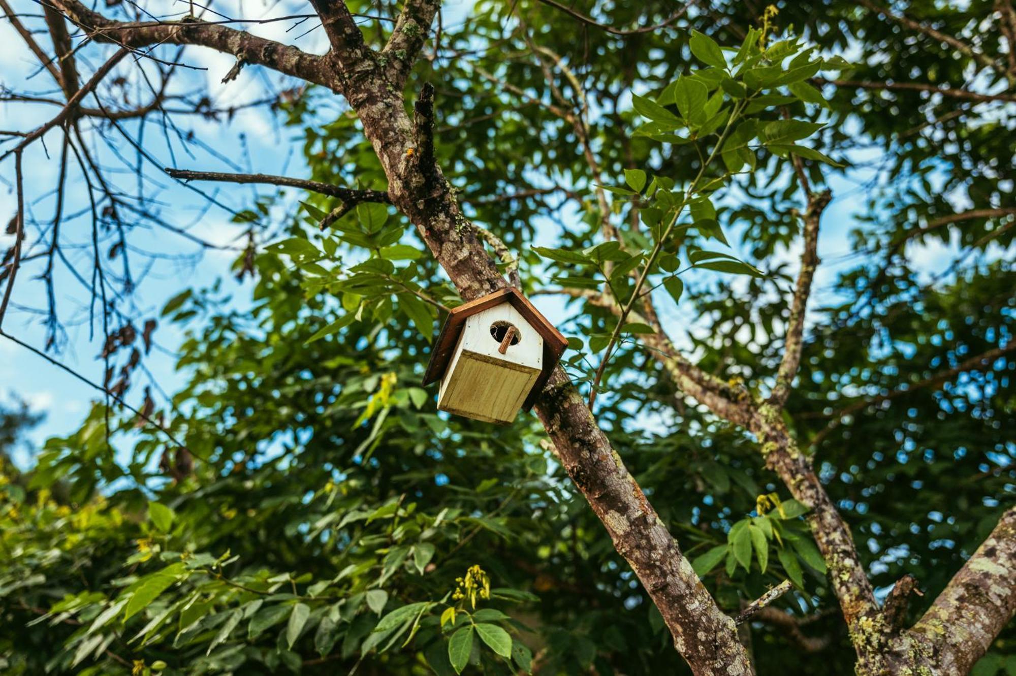 Sitio D Ouro Villa Marechal Floriano Ngoại thất bức ảnh